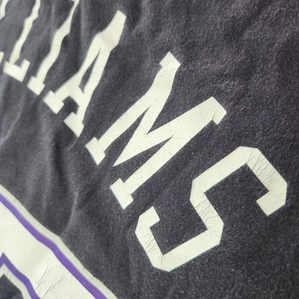 Sacramento Kings Williams 55 Shirt Large Mitchell & Ness Hardwood Classics HWC